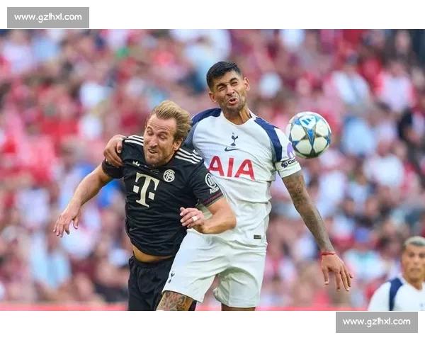 汉堡布鲁日竞逐武什科维奇 热刺新帅弗兰克将评估租借可行性