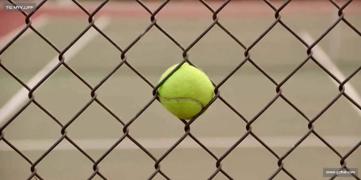 我们的品牌价值